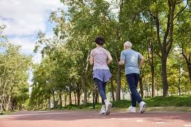 解析堪萨斯皇家的冠军之路依靠速度与牛棚的极致胜利